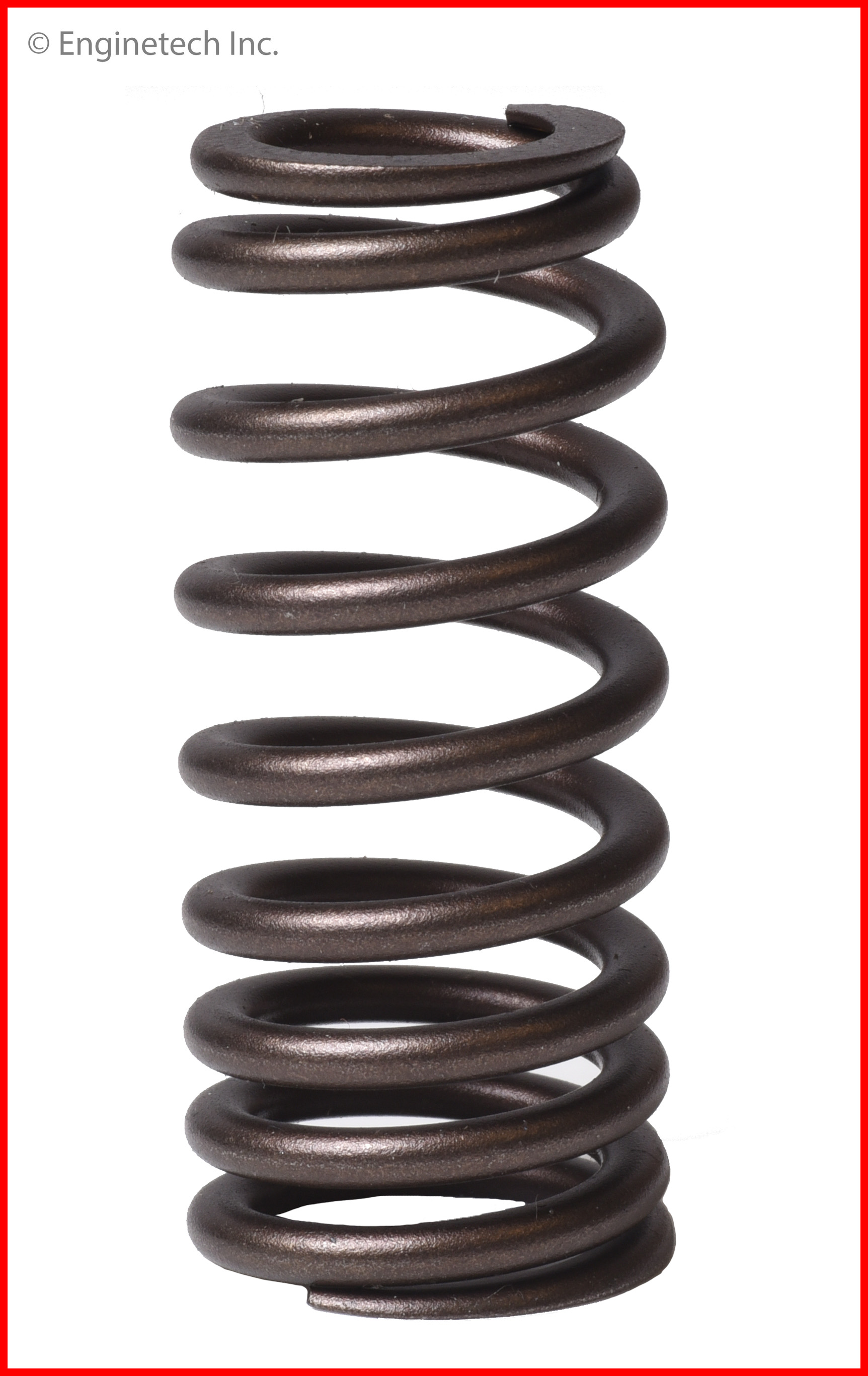 Enginetech Engine Valve Spring - 4 Pack - ERV1631