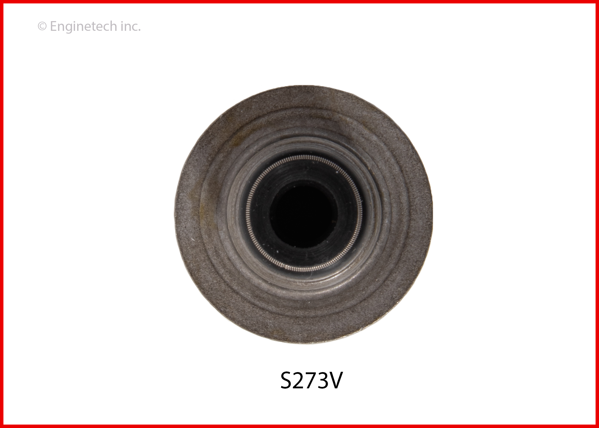 Enginetech Engine Valve Stem Oil Seal - 100 Pack - S273V
