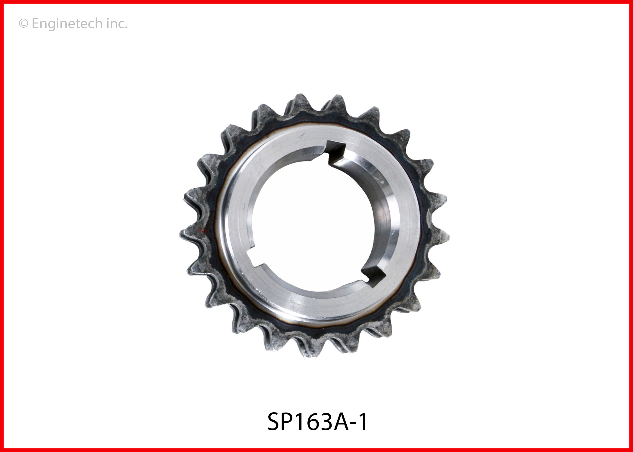 Enginetech Engine Timing Camshaft Gear - SP163A-1